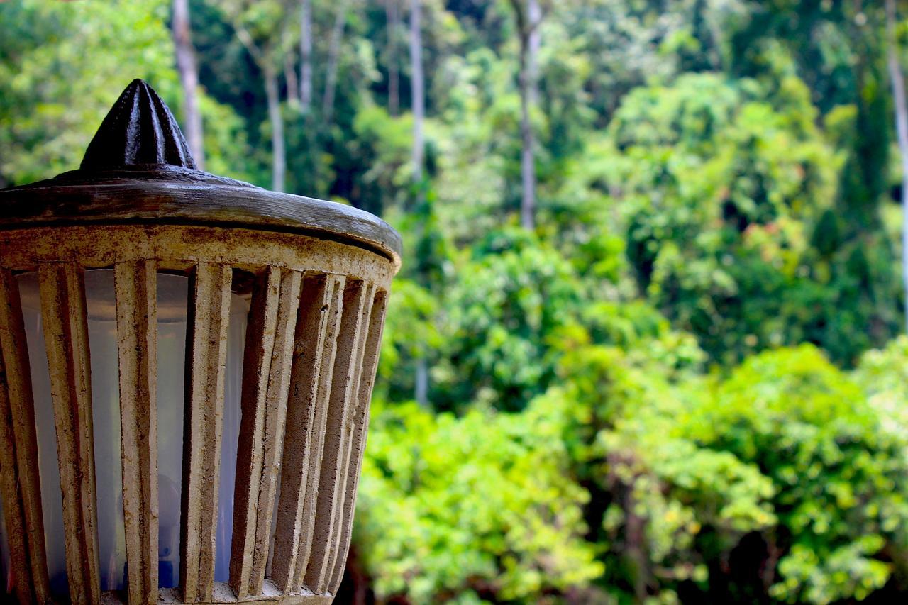 Ecotravel Cottages ブキットラワン エクステリア 写真